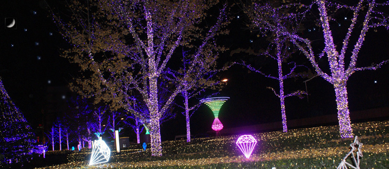 LED燈帶